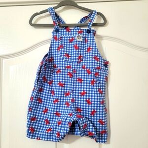 💥3/$24‎ Free Planet Blue Gingham Shortalls with Lobsters